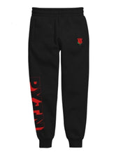 Load image into Gallery viewer, payton moormeier merch hoodies
