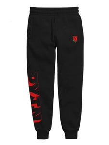 payton moormeier merch hoodies